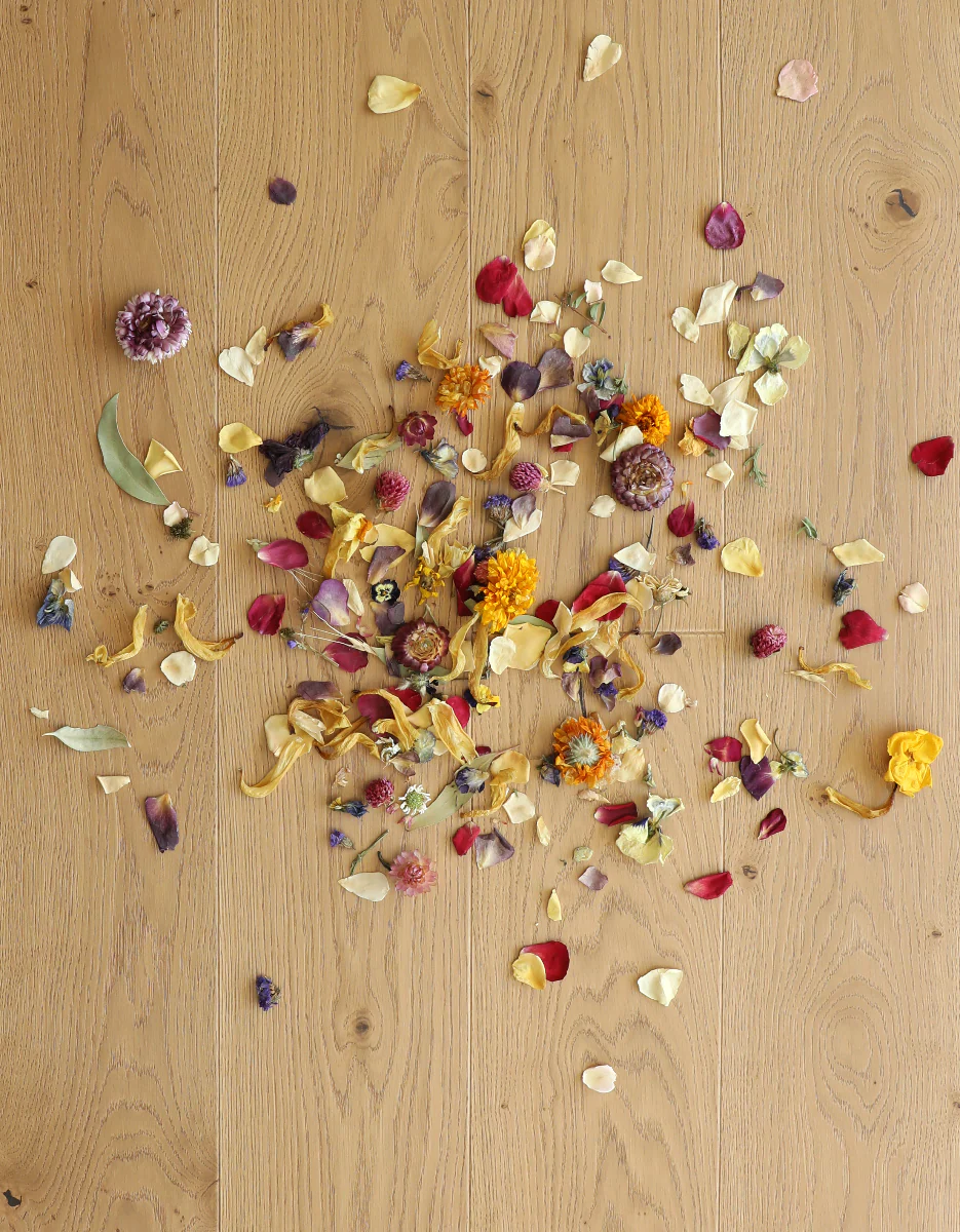 Faye - Image 10