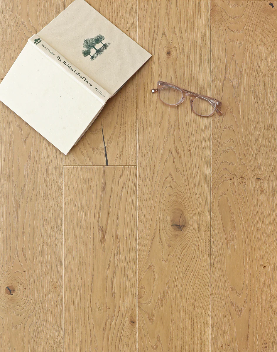 Faye - Image 9