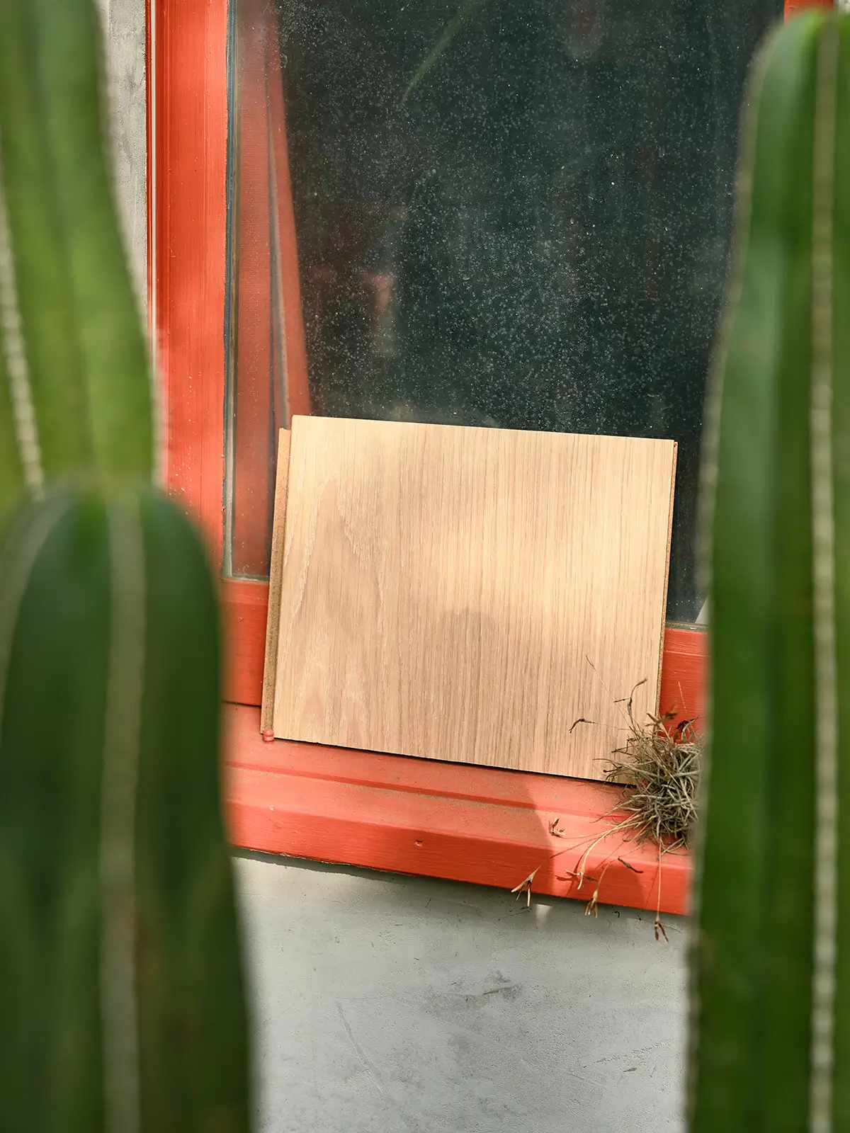 Freestyle - Image 7