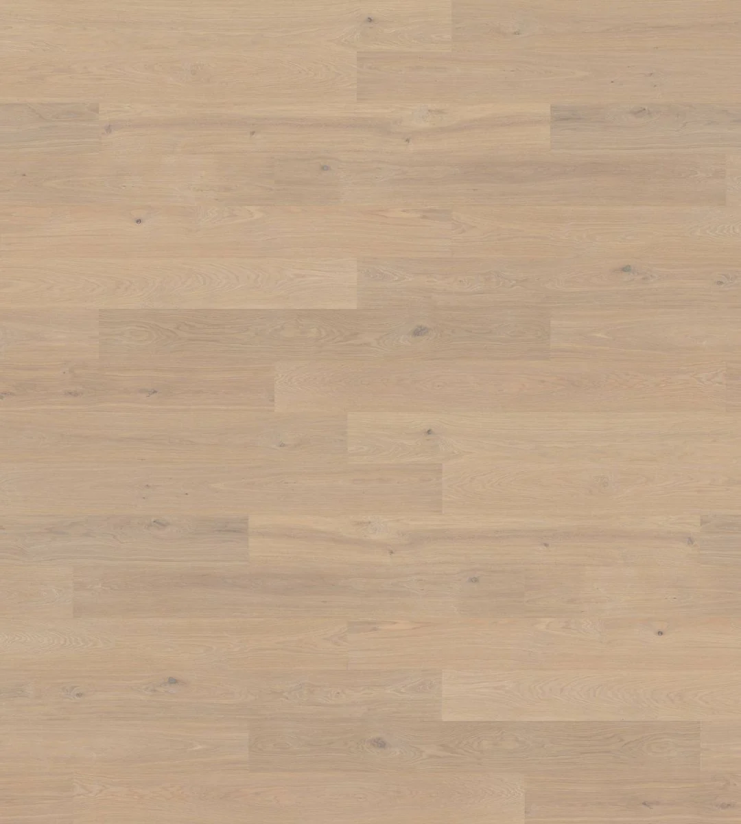 Freestyle - Image 9
