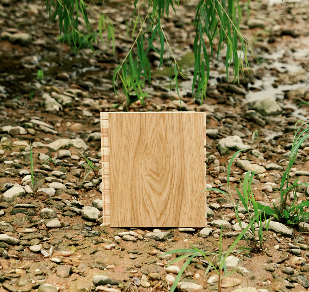 Frida - Image 4