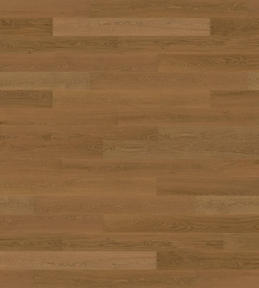 Scout - Image 8
