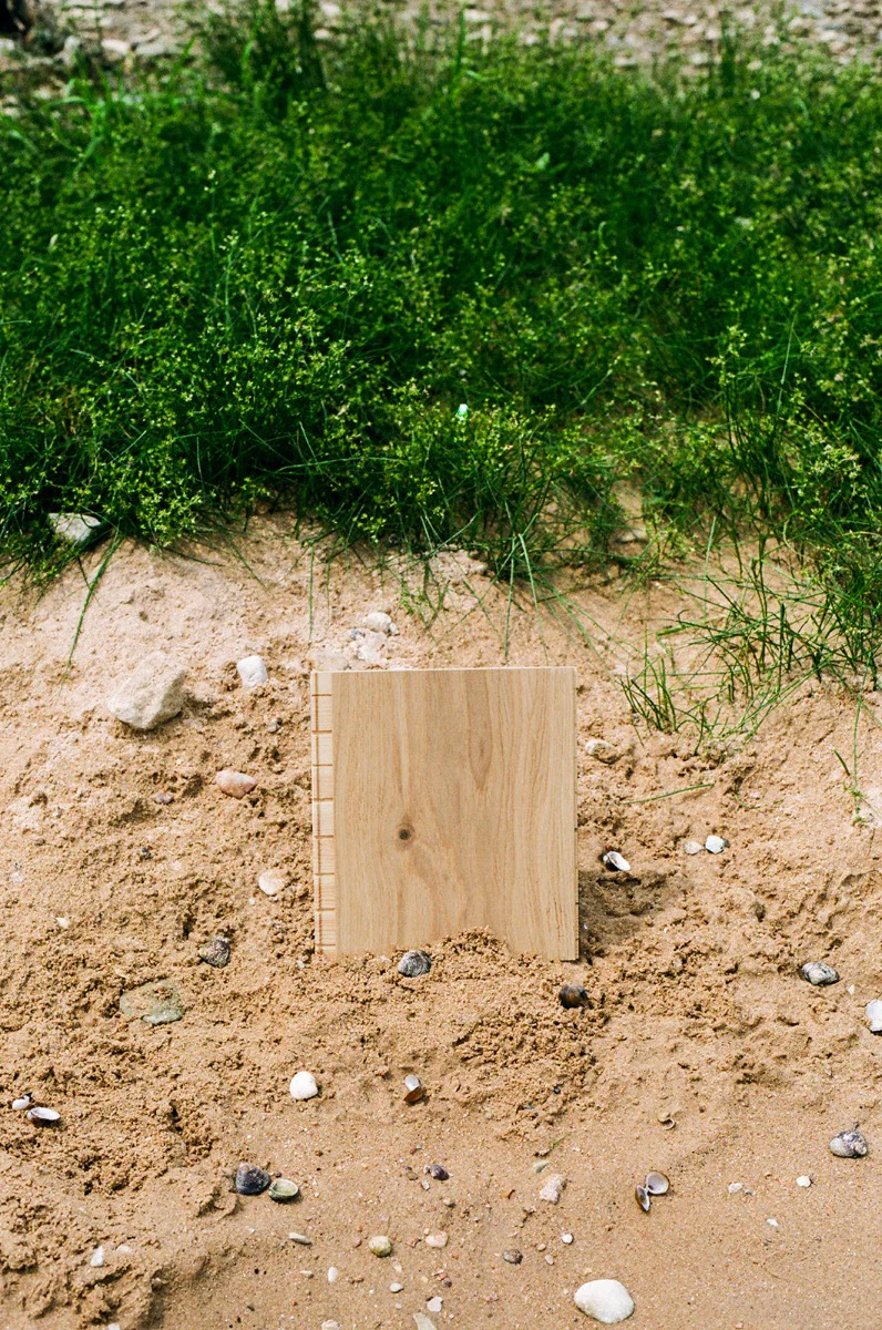 Shell - Image 4